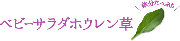 ベビーサラダホウレン草