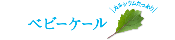 ベビーケール