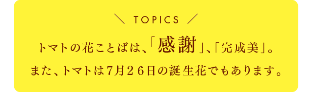 TOPICS トマトの花ことばは、「感謝」、「完成美」。また、トマトは7月26日の誕生花でもあります。