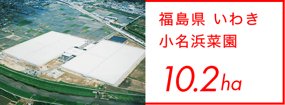 福島県 いわき 小名浜菜園 10.2ha