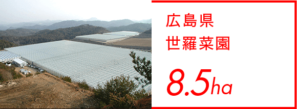 広島県 世羅菜園 8.5ha