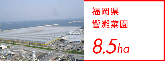 福岡県 響灘菜園 8.5ha