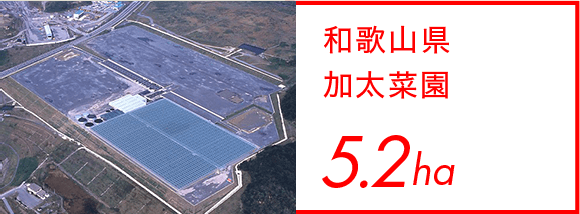 和歌山県 加太菜園 5.2ha