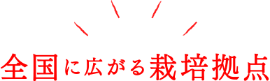 全国に広がる栽培拠点