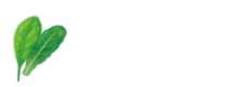 ベビーリーフのレシピを見る