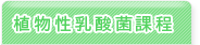 植物性乳酸菌課程
