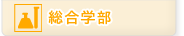 総合学部