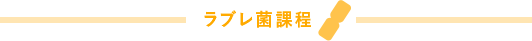 ラブレ菌課程
