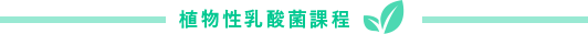 植物性乳酸菌課程