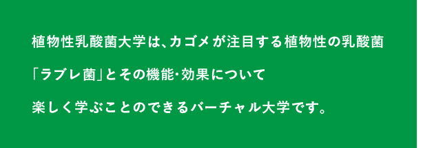 植物性乳酸菌大学は、カゴメが注目する植物性の乳酸菌「ラブレ菌」とその機能・効果について楽しく学ぶことのできるバーチャル大学です。