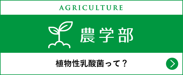農学部 植物性乳酸菌って？