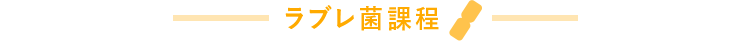ラブレ菌課程