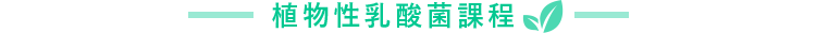 植物性乳酸菌課程