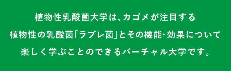 植物性乳酸菌大学は、カゴメが注目する植物性の乳酸菌「ラブレ菌」とその機能・効果について楽しく学ぶことのできるバーチャル大学です。