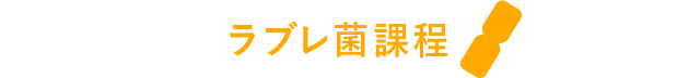ラブレ菌課程