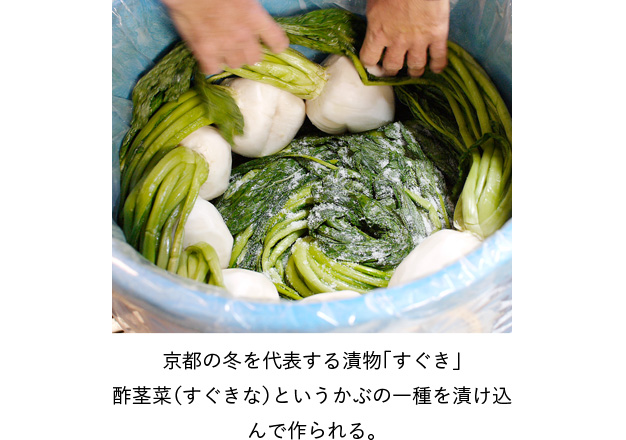 京都の冬を代表する漬物「すぐき」酢茎菜（すぐきな）というかぶの一種を漬け込んで作られる。