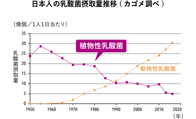 日本人の乳酸菌摂取量推移