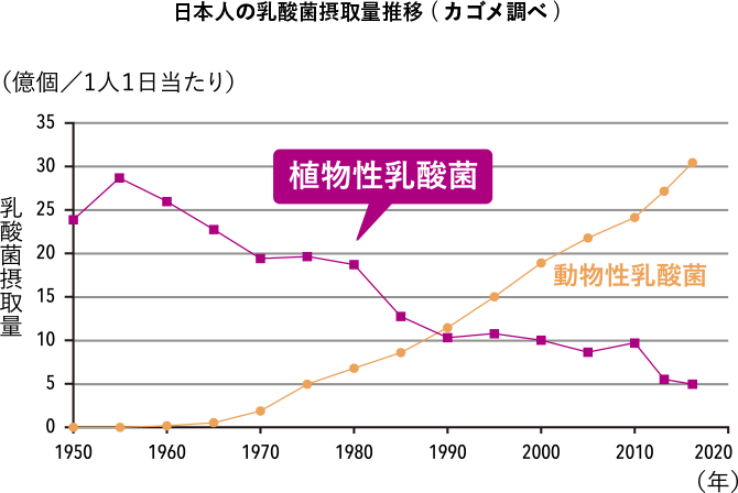 日本人の乳酸菌摂取量推移