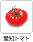 愛知トマト