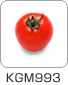 KGM993