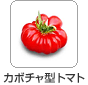 カボチャ型トマト