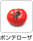 ポンテローザ