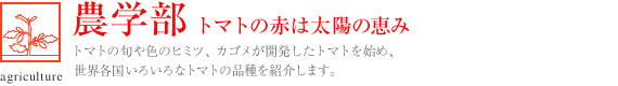 農学部 トマトの赤は太陽の恵み 
トマトの旬や色のヒミツ、カゴメが開発したトマトを始め、世界各国いろいろなトマトの品種を紹介します。