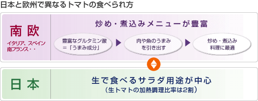 【図】日本と欧州で異なるトマトの食べられ方