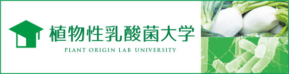 植物性乳酸菌大学