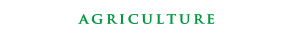 AGRICULTURE