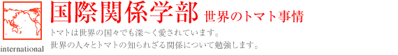 国際関係学部　世界のトマト事情 
トマトは世界の国々でも深〜く愛されています。世界の人々とトマトの知られざる関係について勉強します。