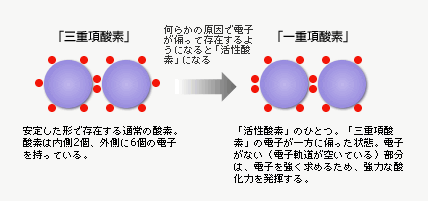 【画像】「一重項酸素」と「三重項酸素」の関係