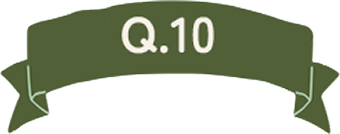 Q.10