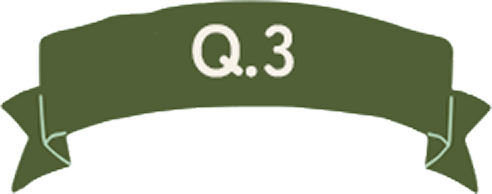 Q.3