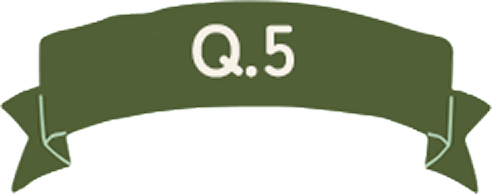 Q.5