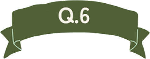 Q.6