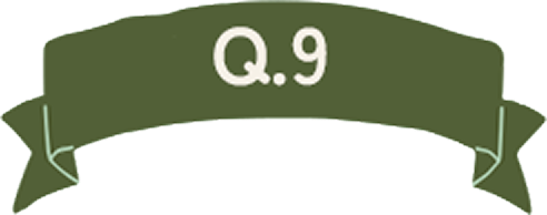Q.9