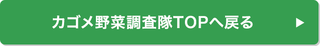 カゴメ野菜調査隊TOPへ戻る