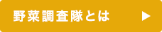 野菜調査隊とは