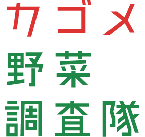 カゴメ野菜調査隊