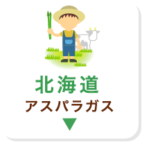 北海道 アスパラガス