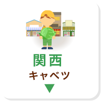 関西 キャベツ