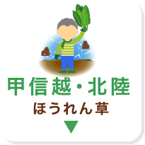 甲信越・北陸 ほうれん草