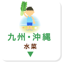 九州・沖縄 水菜