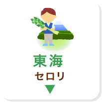 東海 セロリ
