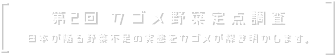 第2回 カゴメ野菜定点調査 日本が陥る野菜不足の実態をカゴメが解き明かします。