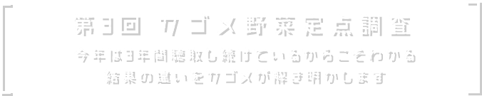 第3回 カゴメ野菜定点調査 今年は3年間聴取し続けているからこそわかる結果の違いをカゴメが解き明かします