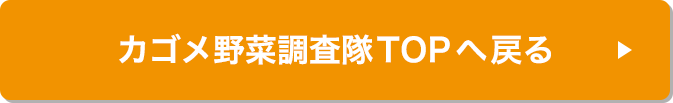 カゴメ野菜調査隊TOPへ戻る