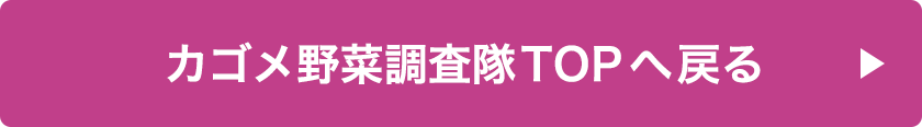 カゴメ野菜調査隊TOPへ戻る