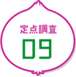 定点調査09